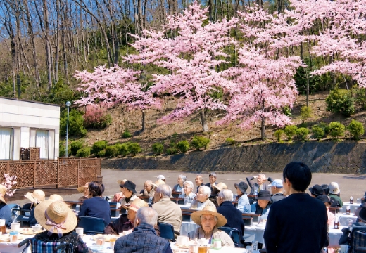 お花見食事会