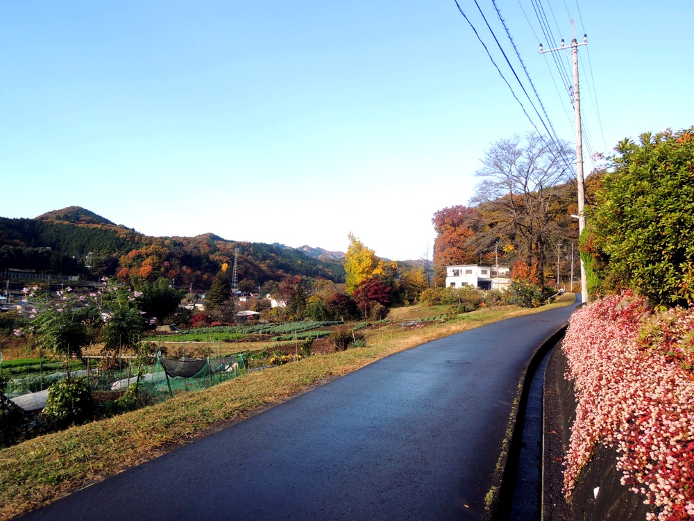 散歩道