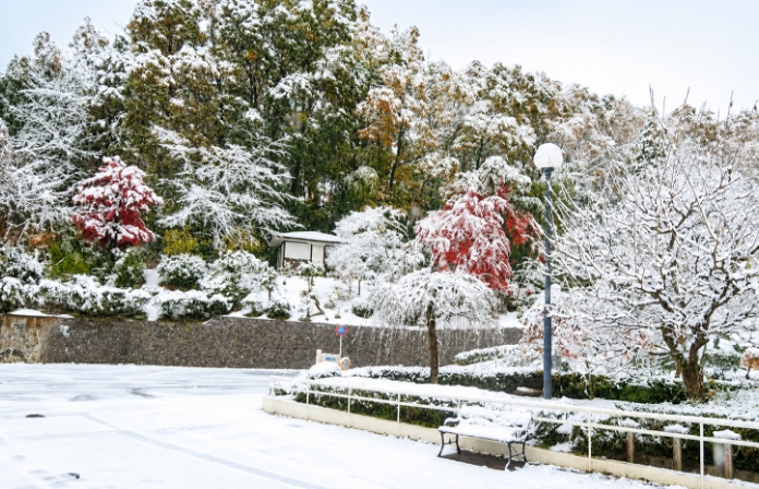 雪の景色